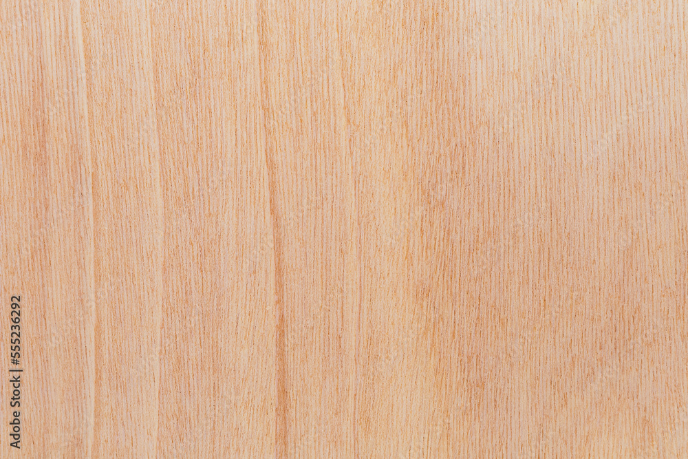 Naklejka premium Light rough textured cut surface of an African tree. Wood background or blank for design