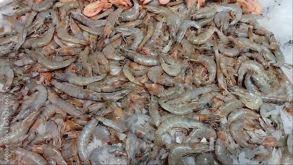 A lot of shrimp are lying on ice in the fridge on the store counter. Sale of seafood. Seafood to the table. Choose seafood in the store A lot of shrimp are lying on ice in the fridge on the store counter. Sale of seafood. Seafood to the table. Choose seafood in the store