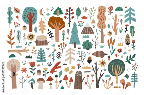 Big collection set of hand drawn woodland flora clipart isolated on white background