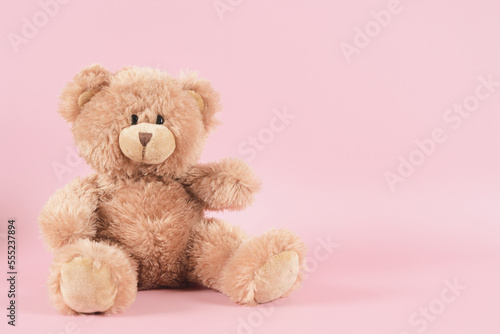 Photos Brown teddy bear sitting on pastel pink background. Front view