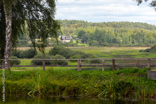 Rural Russian landscape with an old wooden fence  and trees photo