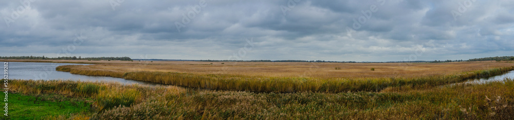 View over the wetlands of Lauwersmeer, The Netherlands