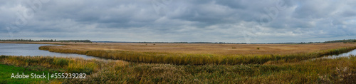 View over the wetlands of Lauwersmeer  The Netherlands