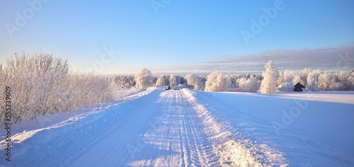 The trees are covered with white frost. Frosty sunny weather. Beautiful winter landscape. Panoramic photography. Latvian landscape.