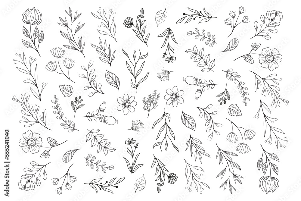 Flower Vector Graphics Png | Best Flower Site