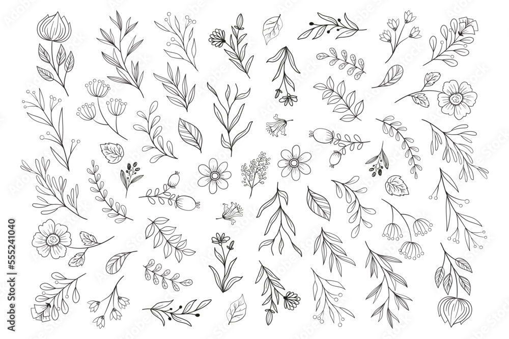 Flower Stems Vector Art & Graphics