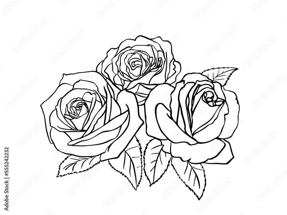 Sketch of a bouquet of roses. Black outline on a white background. Drawing vector graphics with floral pattern for design. Vector illustration. Sketch of a bouquet of roses. Black outline on a white background. Drawing vector graphics with floral pattern for design. Vector illustration.