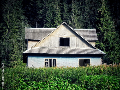 Abandoned old wooden house near the forest