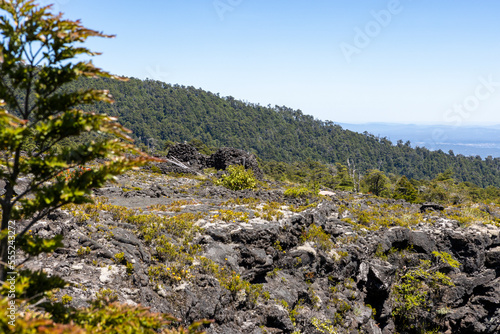 View from the Volcanic Caves Park (at the foot of Villarrica volcan) to the Villarrica lake in Chile 