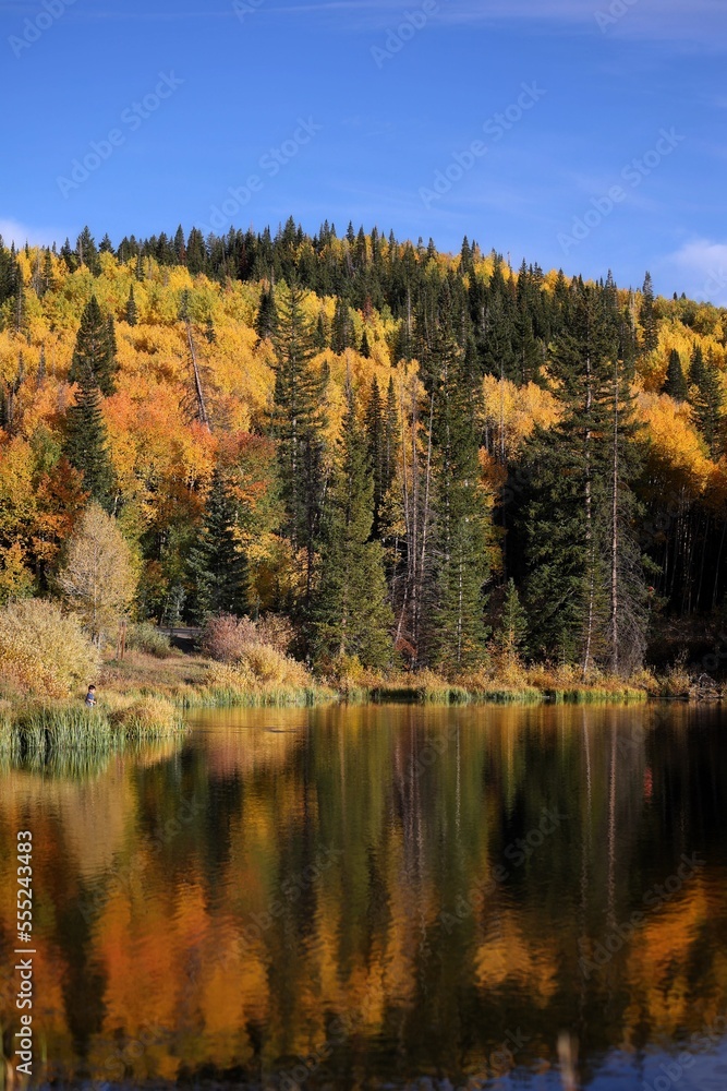 Autumn colors and reflection in calm lake on the Grand Mesa, Colorado
