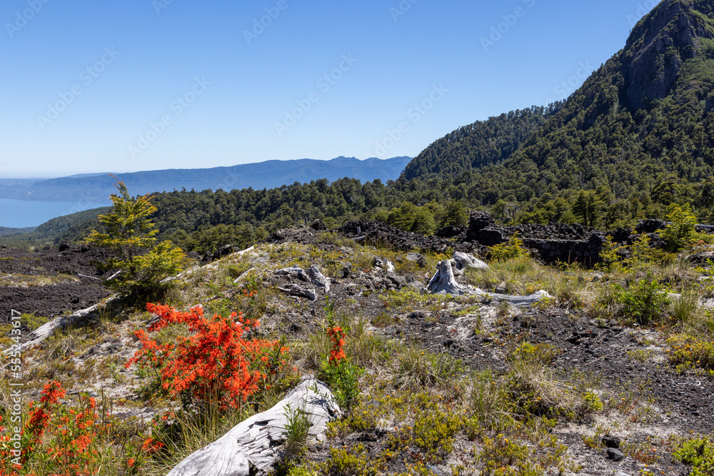 View from the Volcanic Caves Park (at the foot of Villarrica volcan) to the Villarrica lake in Chile 