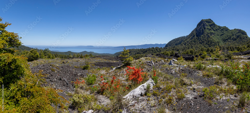 Landscape view from the Volcanic Caves Park (at the foot of Villarrica volcan) to the Villarrica lake in Chile 