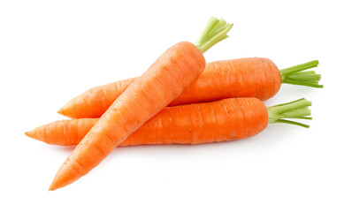 Fresh carrot isolated. Two whole carrots and half of carrot on white background.