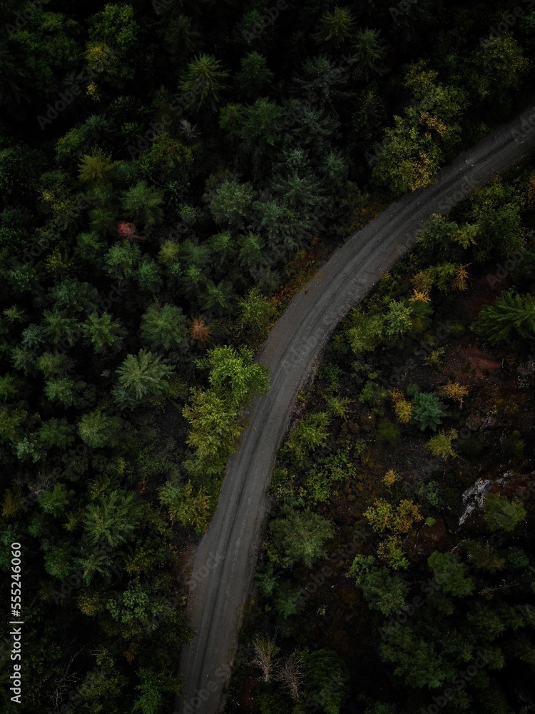Top down forested two lane road Top down forested two lane road