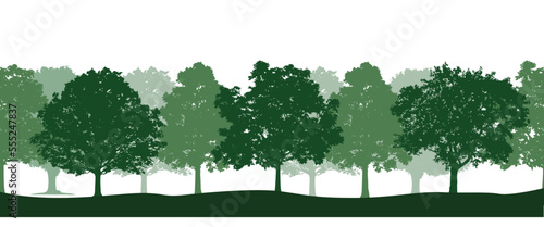 A vector collection of  forest trees