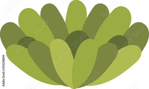 Green succulent flat icon Houseplant decor element