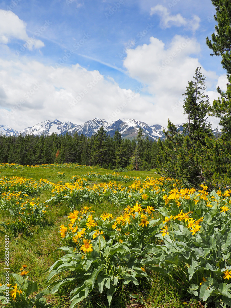 grand Tetons national park in spring grand Tetons national park in spring
