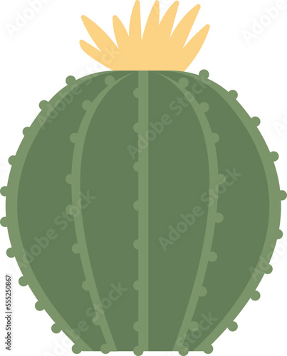 Cactus with flower flat icon Terrarium for plants