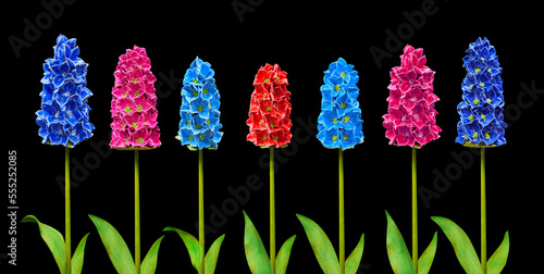 Beautiful floral composition with Hyacinth replicas.