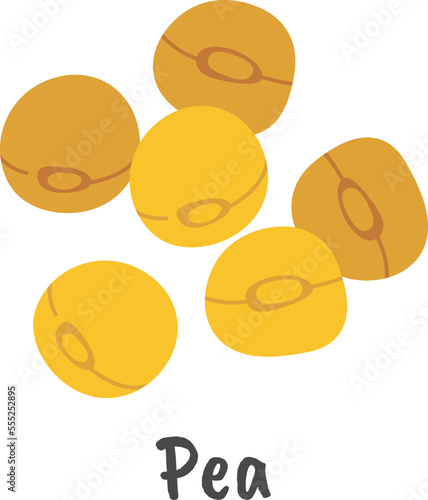 Pea flat icon Agriculture Plants cultivation
