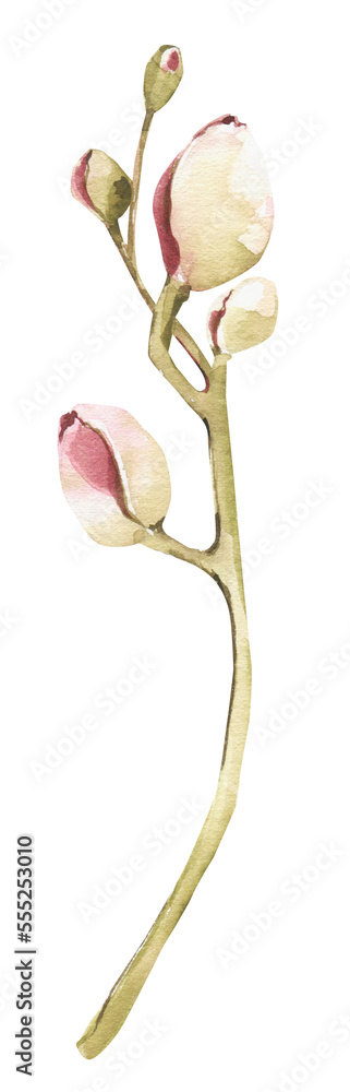Fototapeta premium Watercolor branch clipart. Floral spring illustration