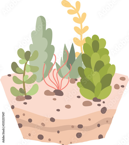 Different evergreen plants in soil flat icon Houseplant