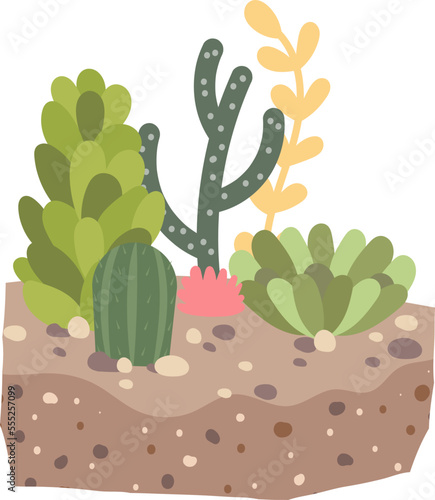 Cactus and succulent plants in soil flat icon Houseplant