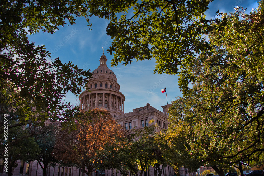 Texas State Capitol with Trees in the Foreground
