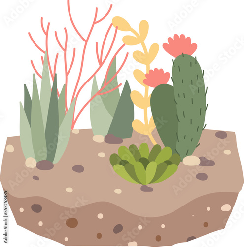 Decorative succulent and cactus in soil flat icon Houseplant