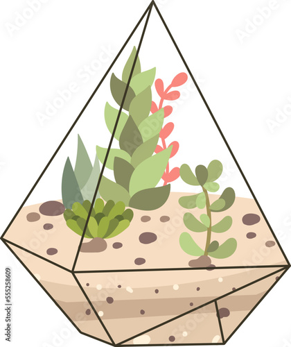 Glass terrarium with sand and evergreen plant flat icon