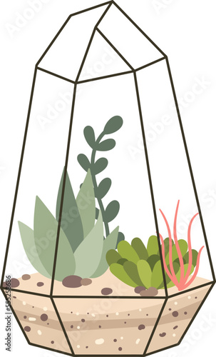 Glass terrarium flat icon Evergreen houseplant Decor element