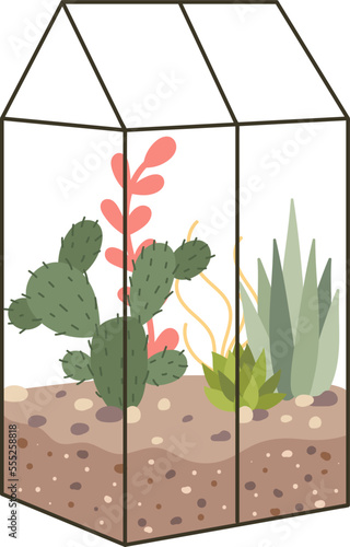 Glass terrarium flat icon Evergreen houseplant Decor element