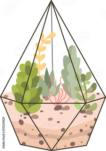Glass terrarium flat icon Evergreen houseplant Decor element