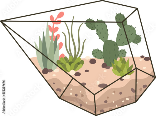 Glass terrarium with evergreen plants flat icon