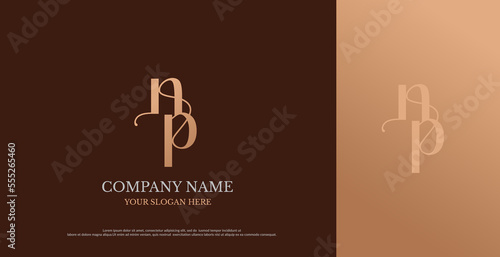 Initial NP Logo Design Vector 