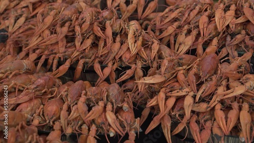 Red boiled crayfish close-up, a good snack for beer. Fragrant boiled crayfish – they cook quickly and deliciously!