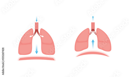 Scientific Designing of Breathing. Inhalation and Exhalation. Colorful Symbols. Vector Illustration.