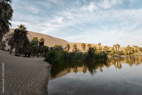 beautiful oasis in desert surrounded by palm trees  beauty of nature with lake  tourist destination at day  wallpaper