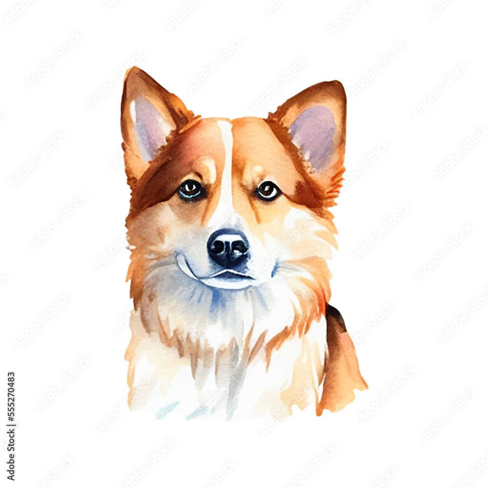 cute dog hand drawn with style watercolor