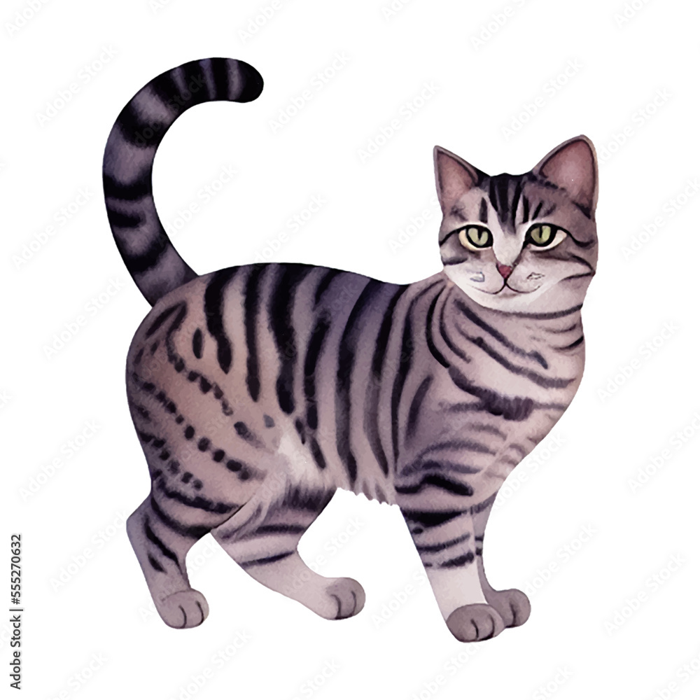 cute cat hand drawn with style watercolor cute cat hand drawn with style watercolor
