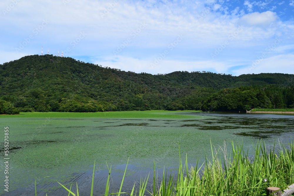 大山上池・大山下池 ラムサール条約登録地 ／ 山形県鶴岡市大山にある灌漑用のため池です。国指定の鳥獣保護区と特別保護地区に指定され、さらに国際的に重要な湿地を保全する「ラムサール条約」にも登録されました。また、2010年には農林水産省の「ため池百選」にも選定されています。