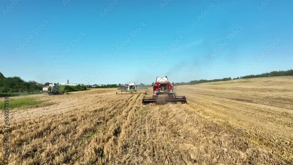 Combine Harvester on Wheat harvesting in field, aerial view. Winter Wheat planting, breadbasket, autumn grain harvest, drone view. Wheat and corn markets. Wheat import, maize (corn). Combine Harvester on Wheat harvesting in field, aerial view. Winter Wheat planting, breadbasket, autumn grain harvest, drone view. Wheat and corn markets. Wheat import, maize (corn).