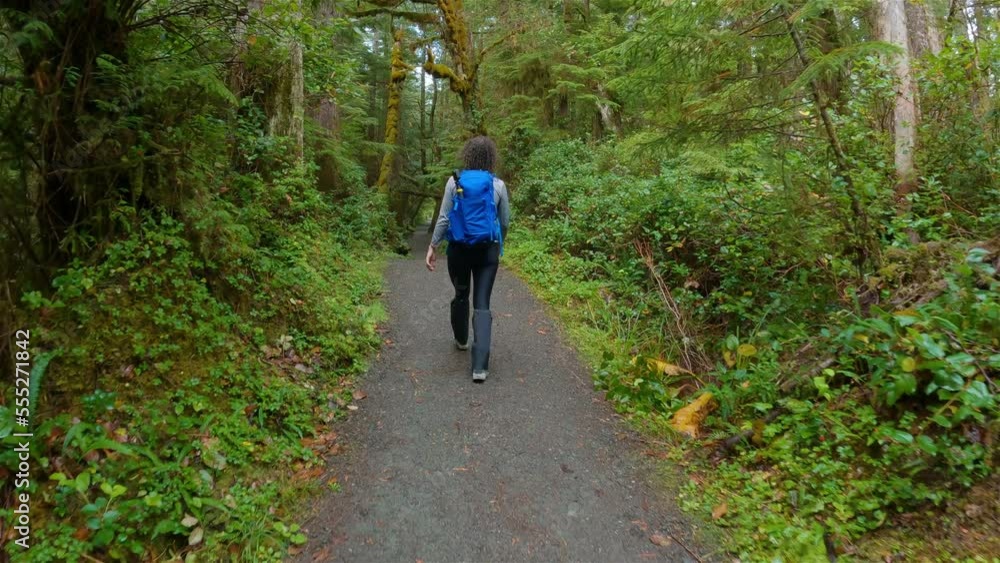 Hiking Trail with Woman Hiking in the Rainforest. San Josef Bay, Cape Scott Provincial Park, Northern Vancouver Island, BC, Canada. Canadian Nature Background. Cinematic 4k Hiking Trail with Woman Hiking in the Rainforest. San Josef Bay, Cape Scott Provincial Park, Northern Vancouver Island, BC, Canada. Canadian Nature Background. Cinematic 4k