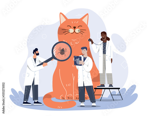 Vet doctors concept. Men with magnifying glass and stethoscope examine orange cat. Animal love and health care. Check for fleas and fractures, team of specialists. Cartoon flat vector illustration