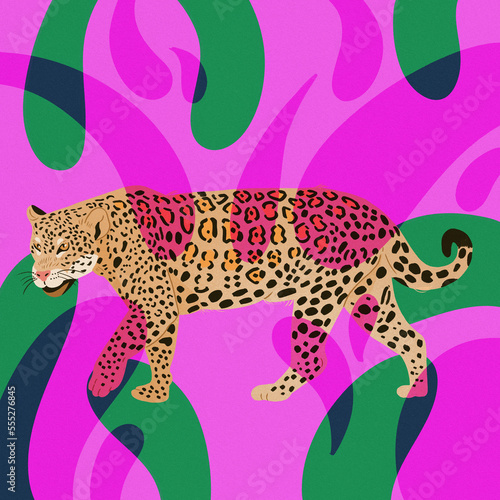 "onça pintada" jaguar colorful shapes pink background 
