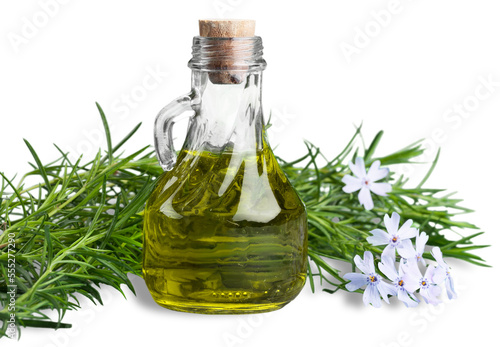 Rosemary essential oil in glass bottle