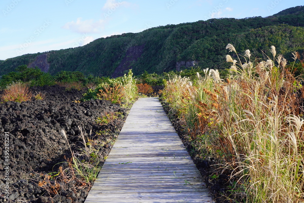 火山遊歩道の通路(東京都三宅島) 火山遊歩道の通路(東京都三宅島)