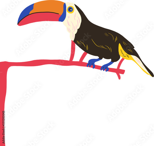 black toucan "tucano" landed on a branch transparent background