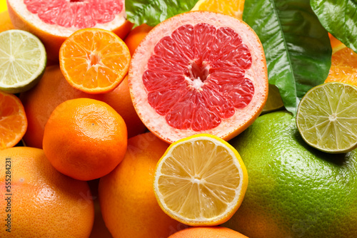 Different ripe citrus fruits with green leaves as background  closeup