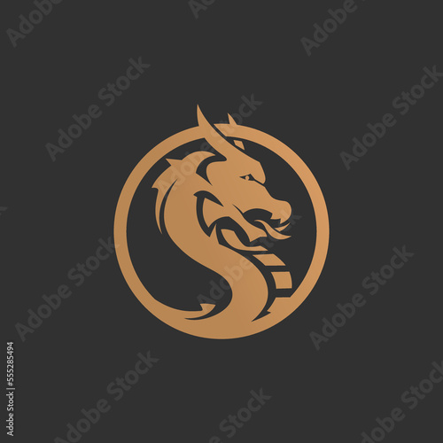 Dragon emblem vector icon illustration logo design
